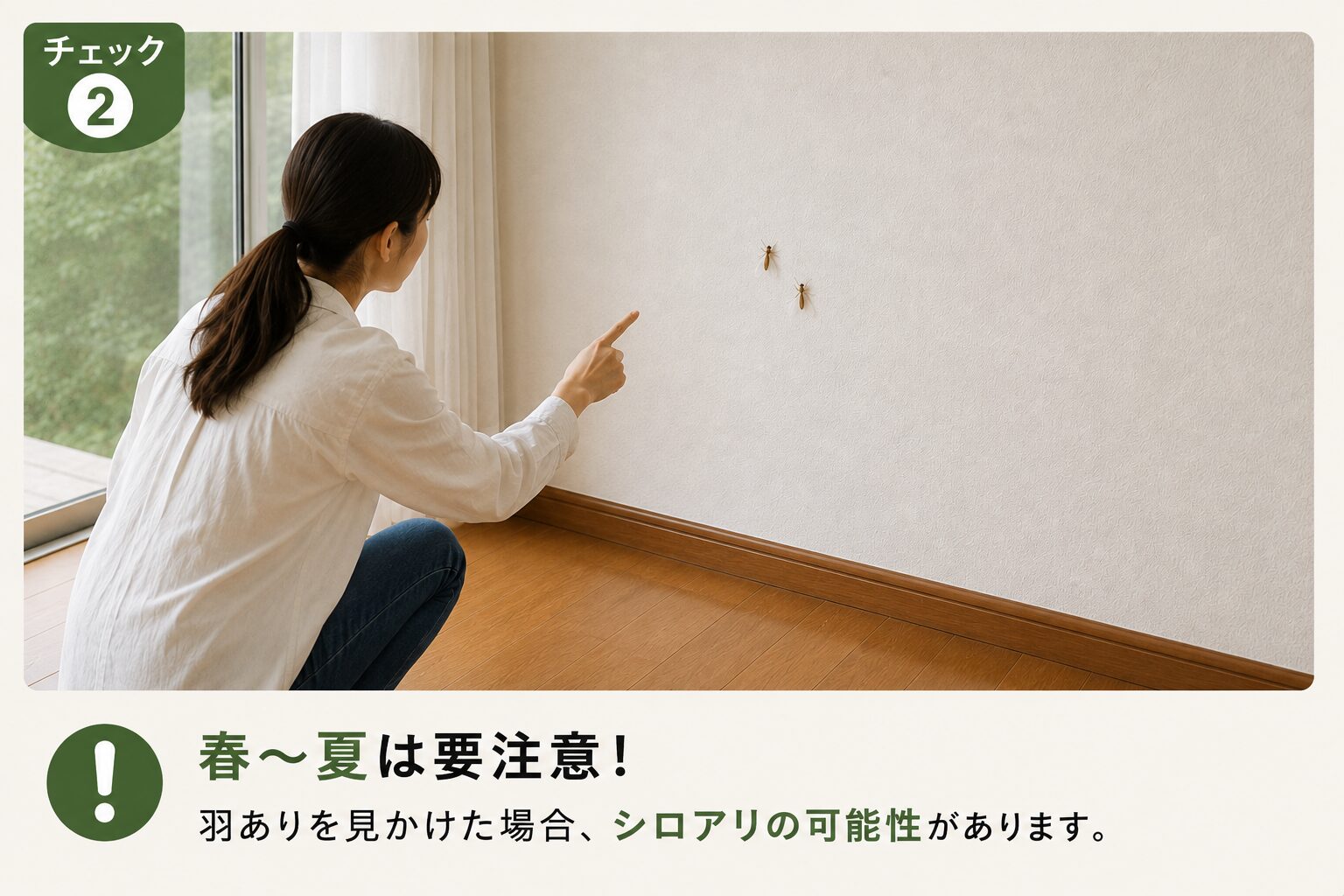 春から夏に羽蟻を見かけた