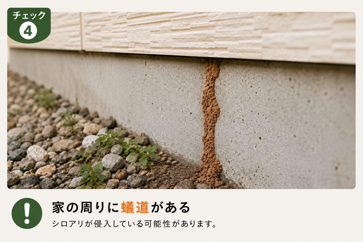 家の周りに蟻道がある