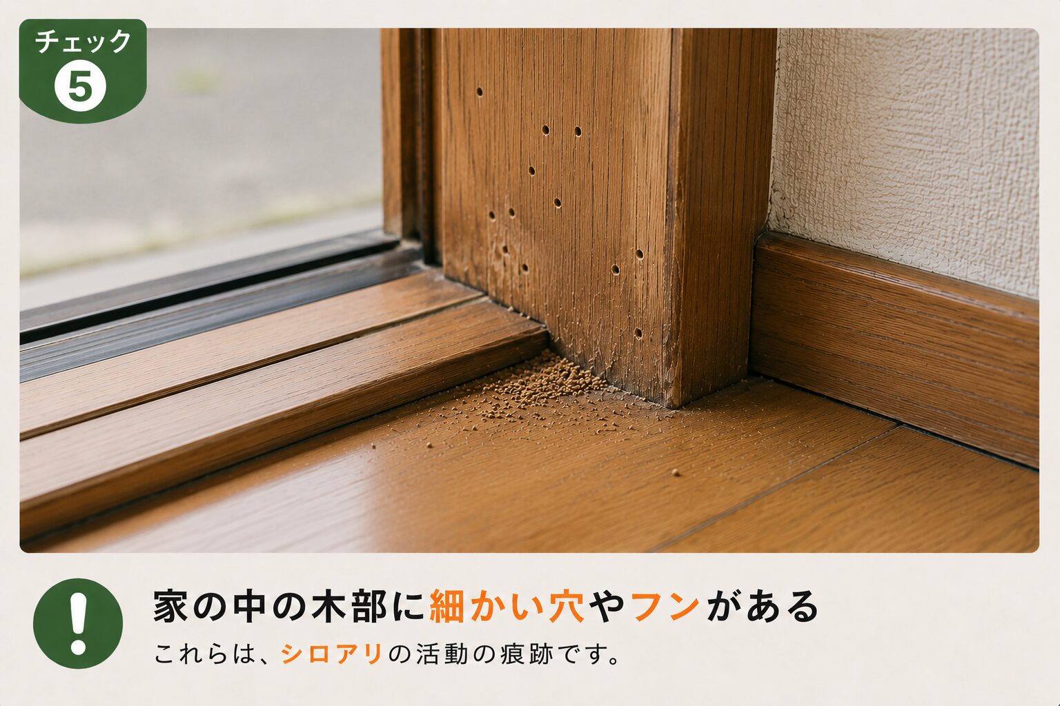 家の中に木部や細かい穴やフンがある